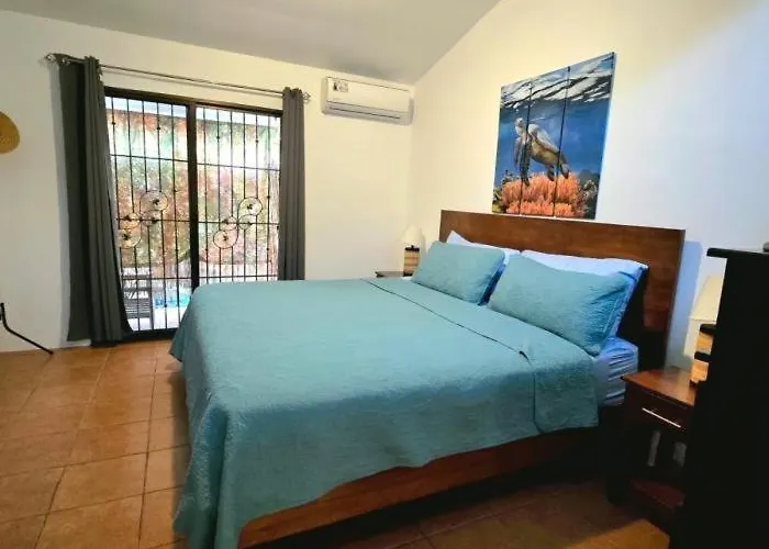 Apartment Casa Shearwater - Modern Loft Near The