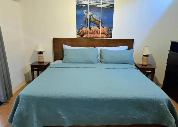 Casa Shearwater - Modern Loft Near The Apartment *